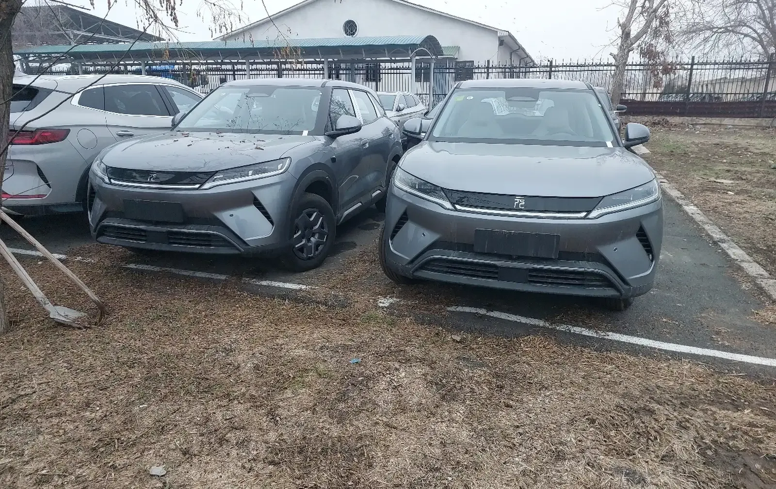 BYD Yuan Up, 2025