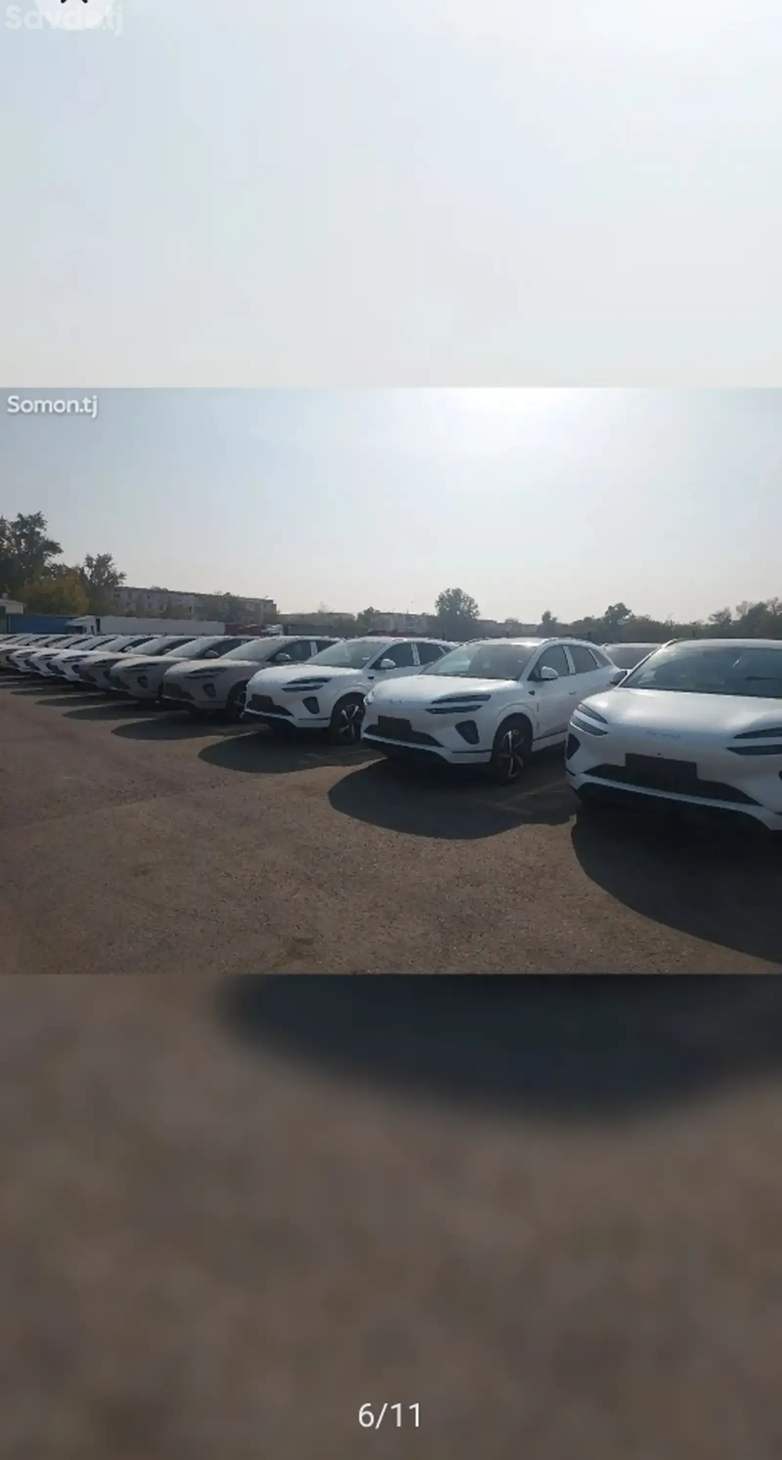 BYD Sea Lion 06, 2025