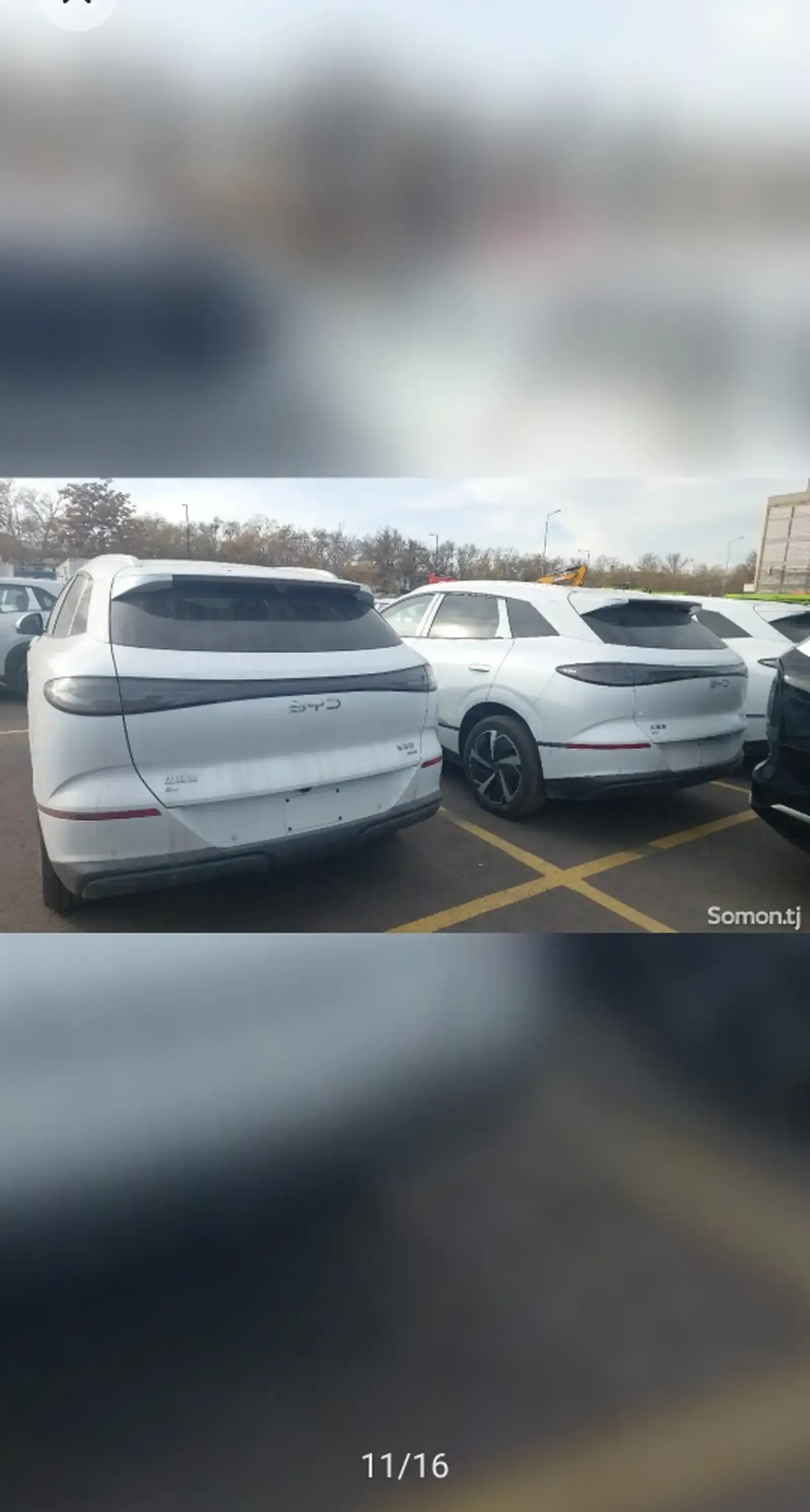 BYD Sea Lion 06, 2025