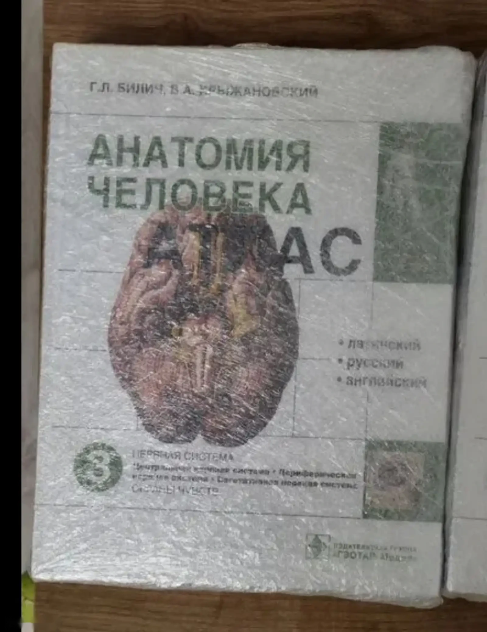Анатомия Человека — фото 3