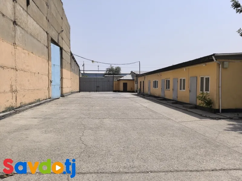 Амбор