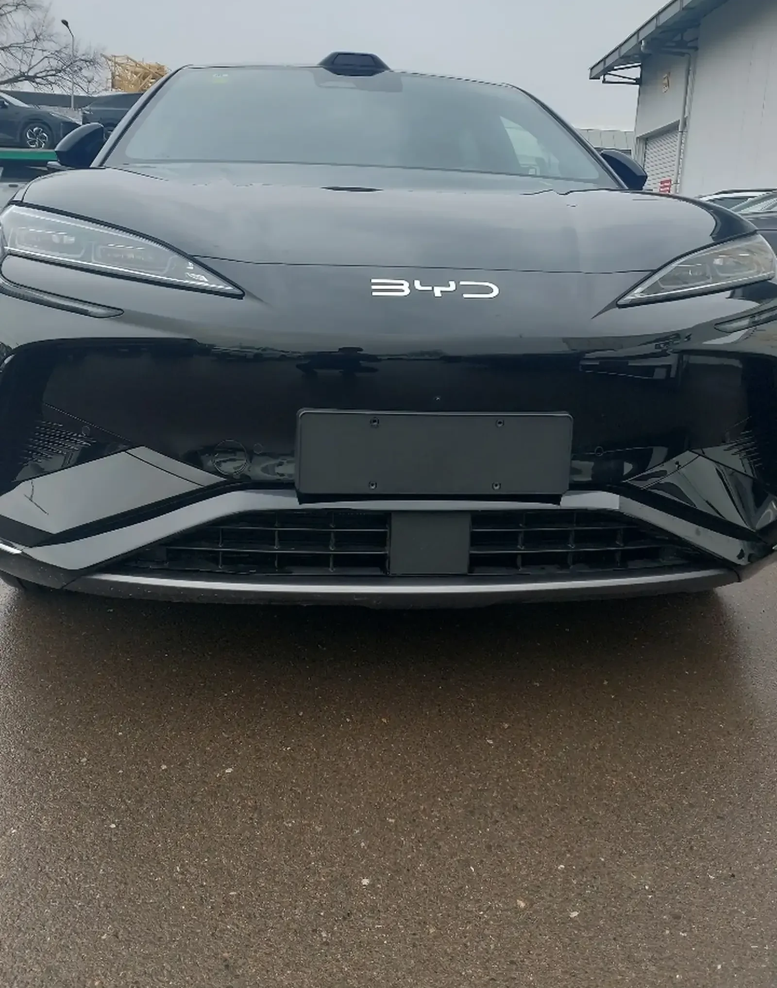 BYD Sea Lion 07, 2025