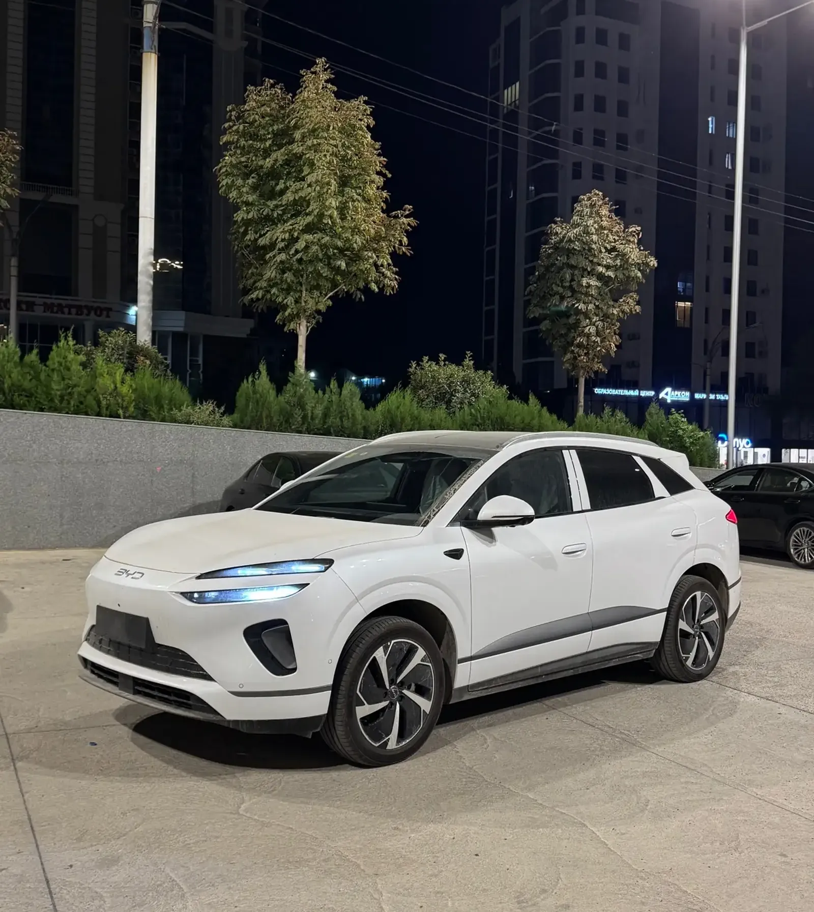 BYD Sea Lion 06, 2025