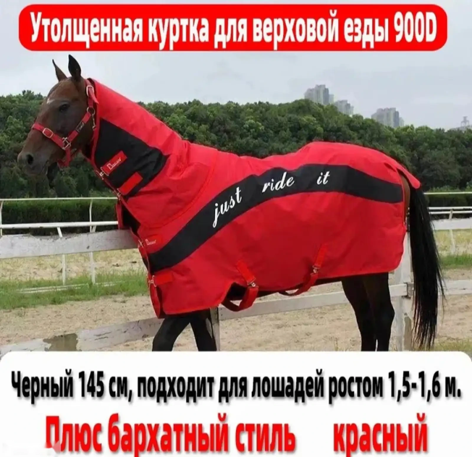 Попона для лошадей — фото 3