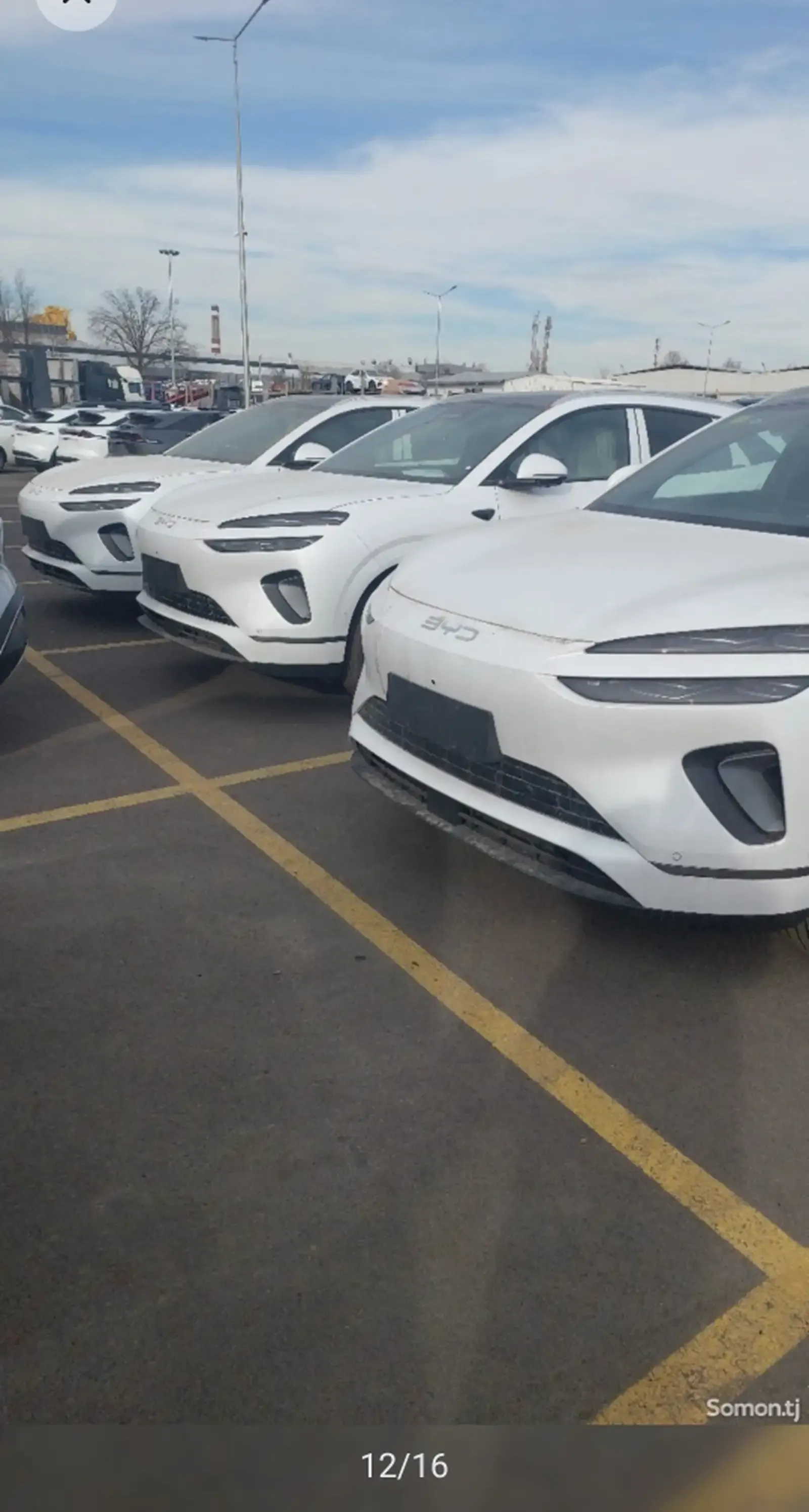 BYD Sea Lion 06, 2025