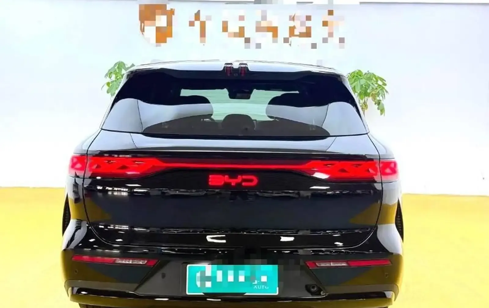 BYD Tang, 2025