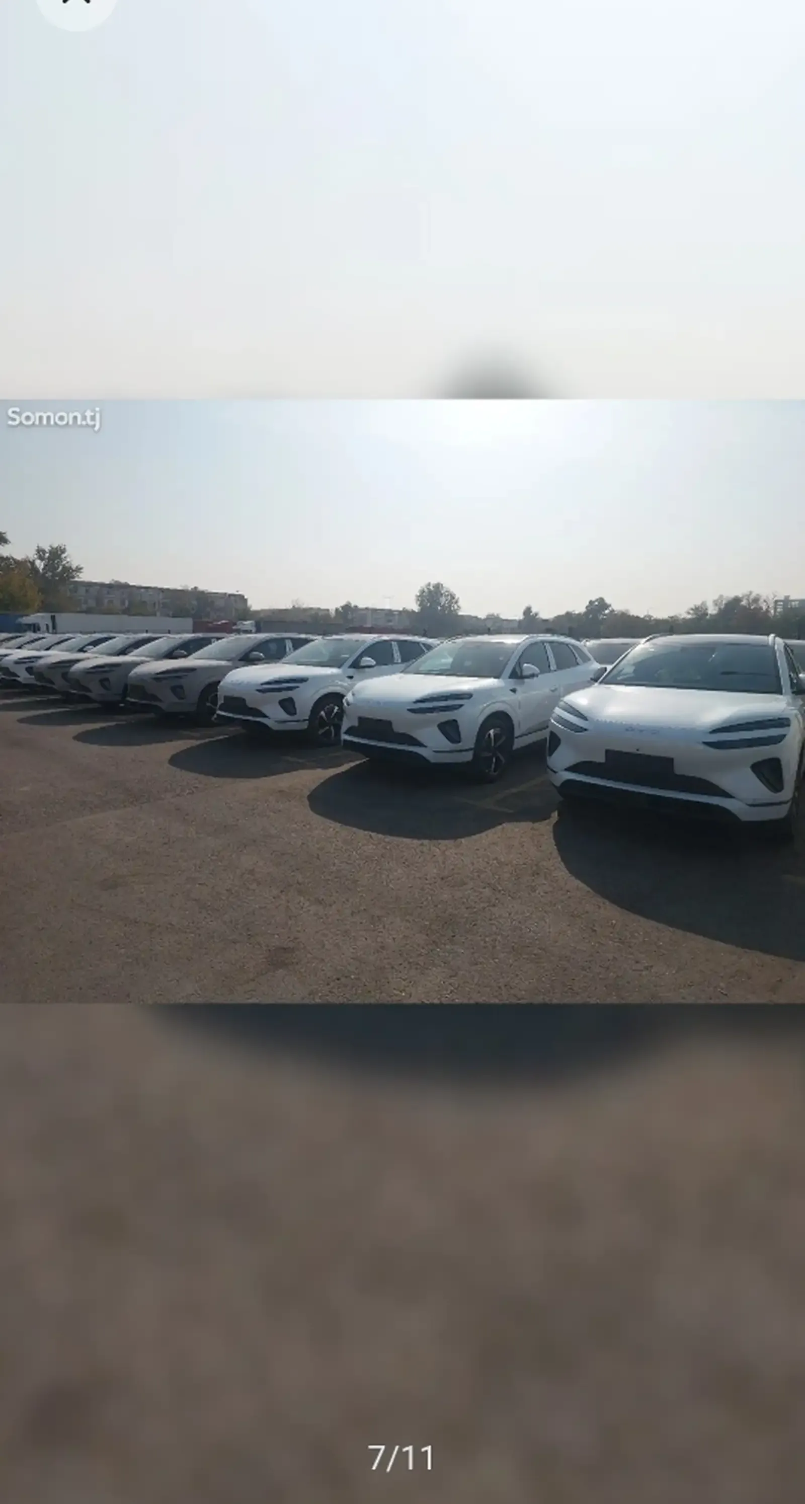 BYD Sea Lion 06, 2025
