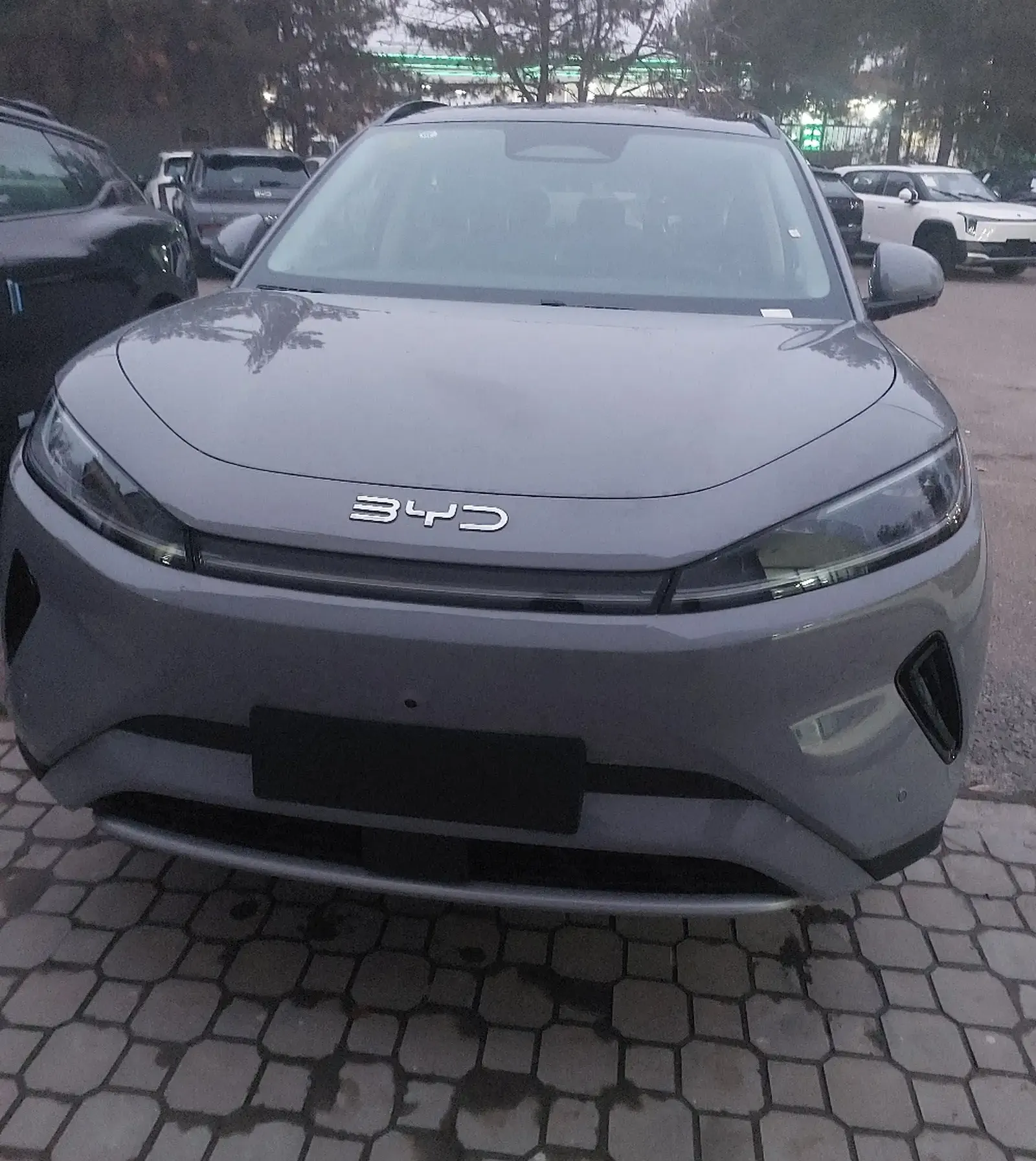 BYD Sea Lion 05, 2025