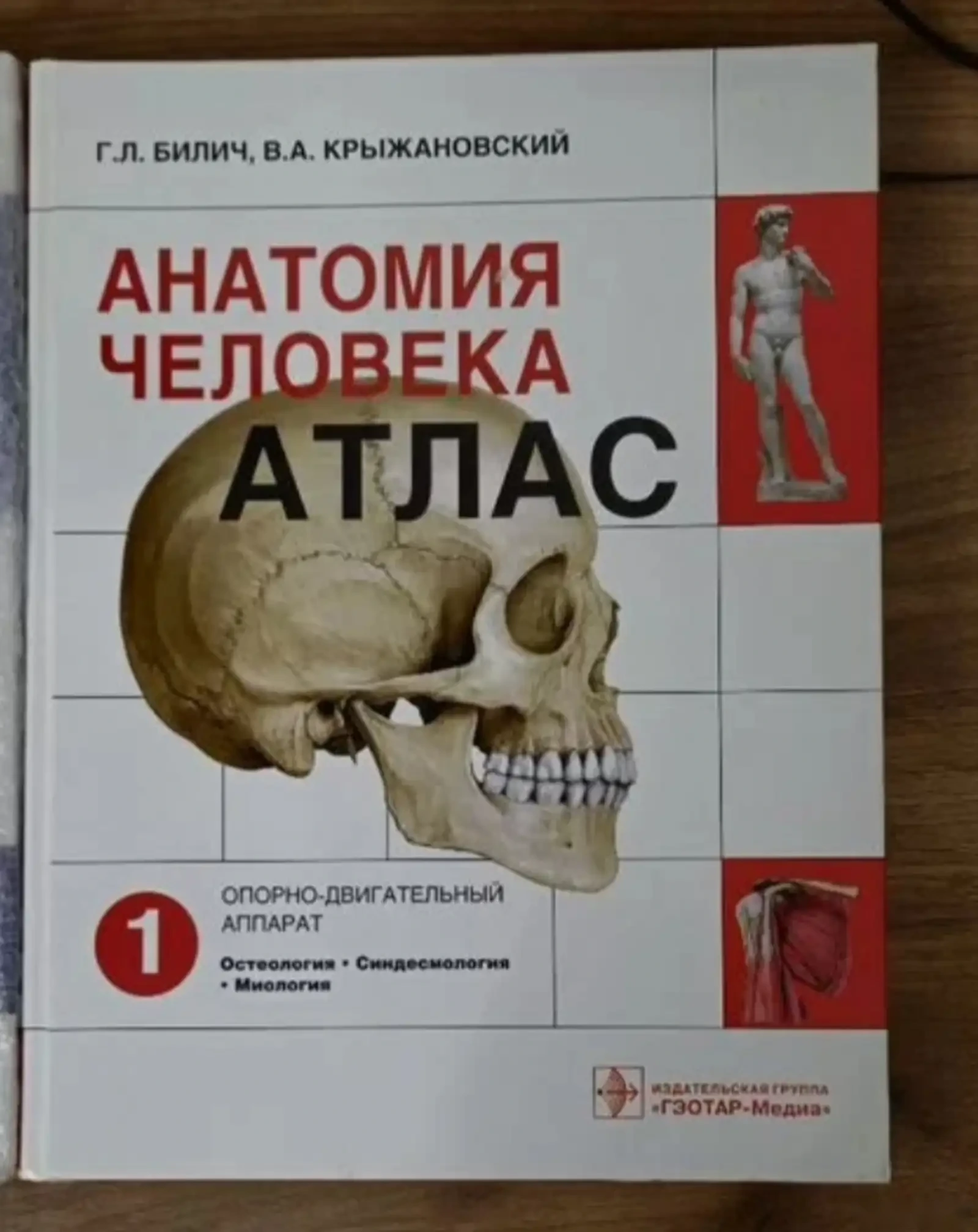 Анатомия Человека — фото 2