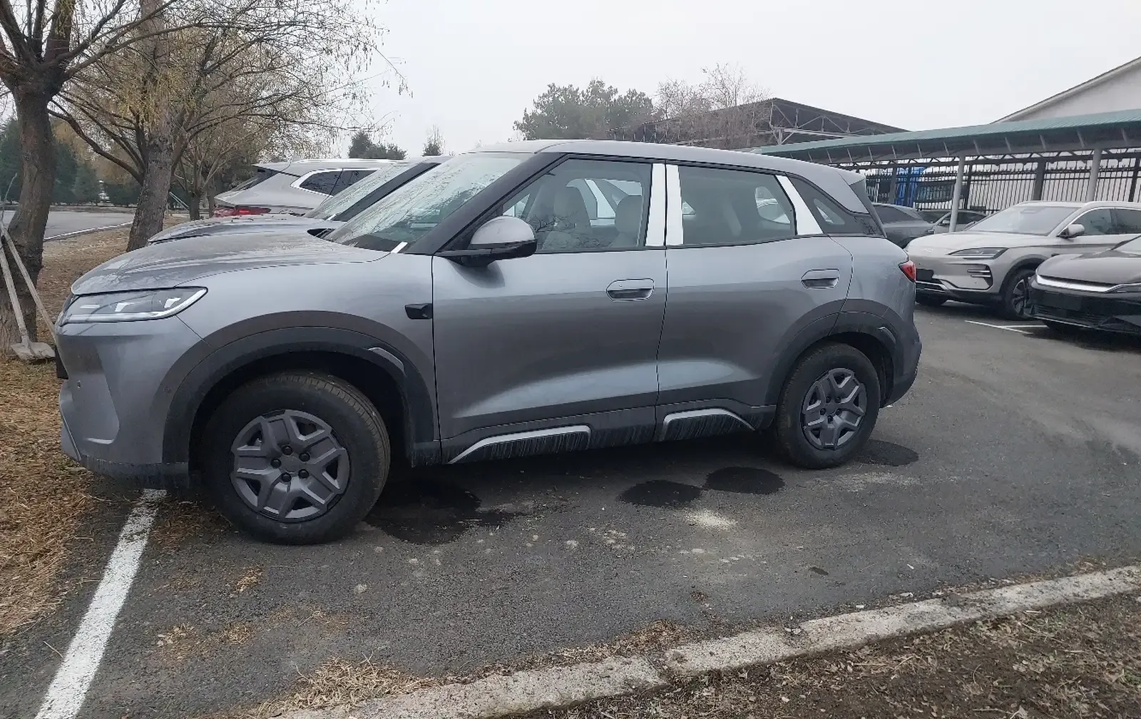 BYD Yuan Up, 2026