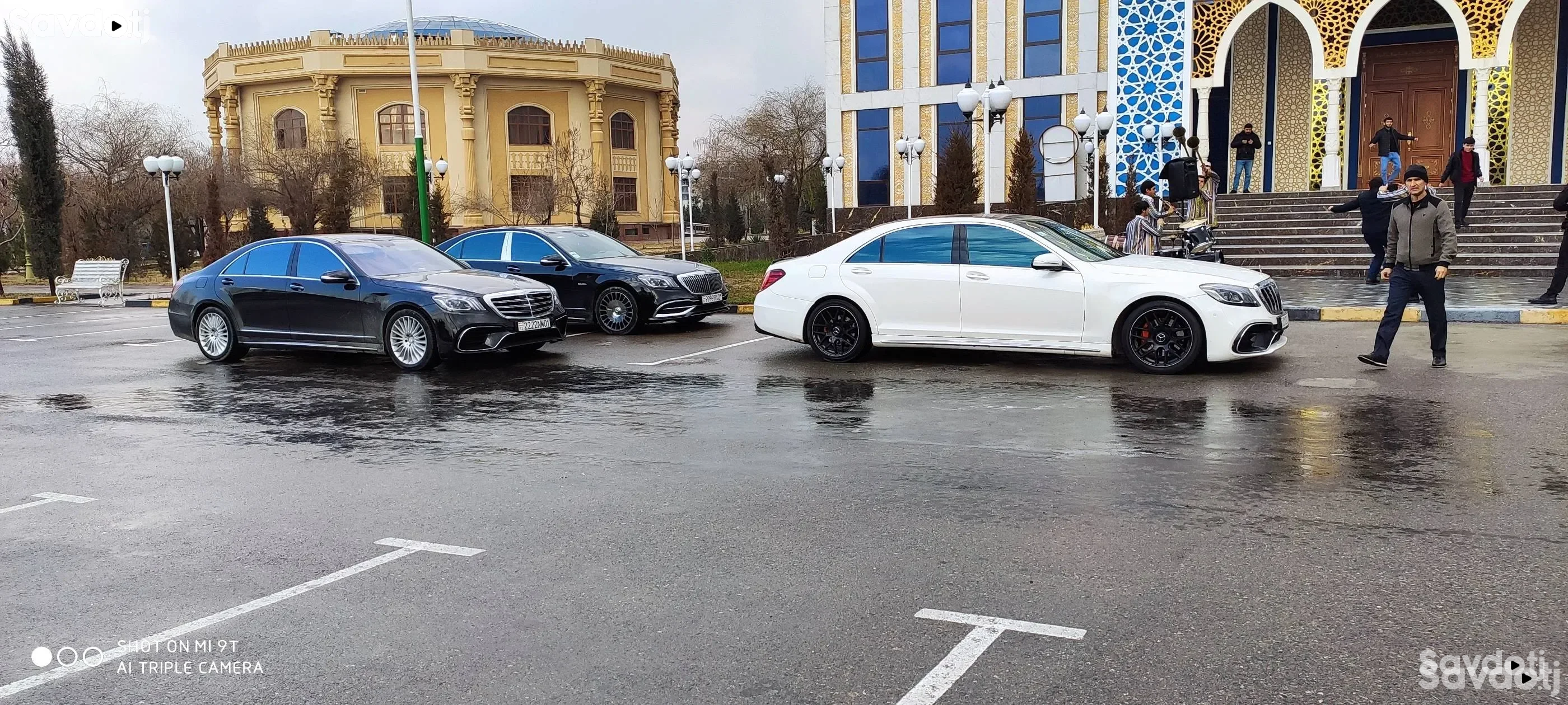 заказ авто для любых мероприятий Мошин борои туй