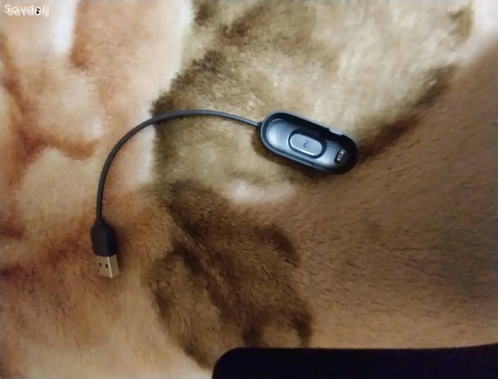 Смарт часы MI Smart Banb 5