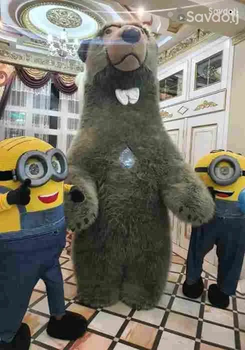 Аниматор