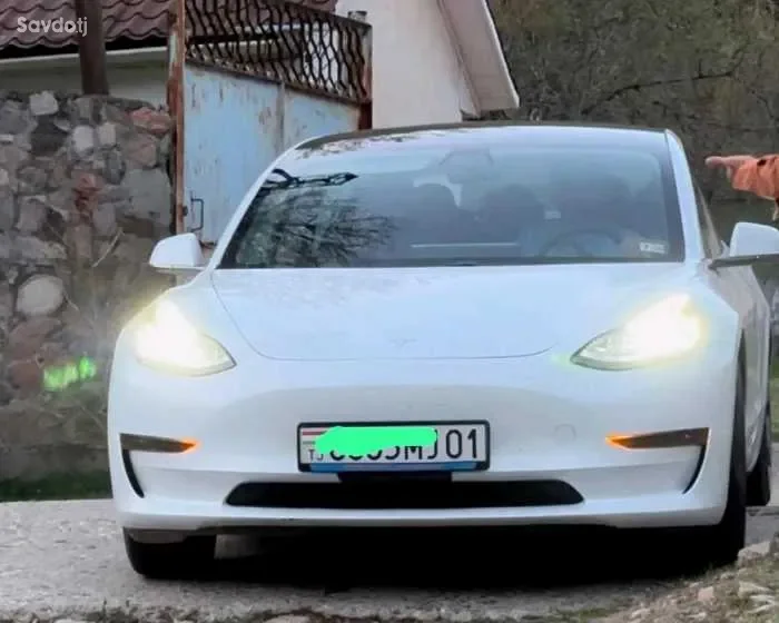 Tesla Model 3 2021