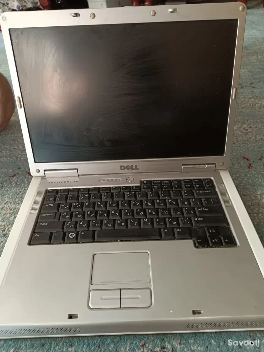 Dell inspiron 1501