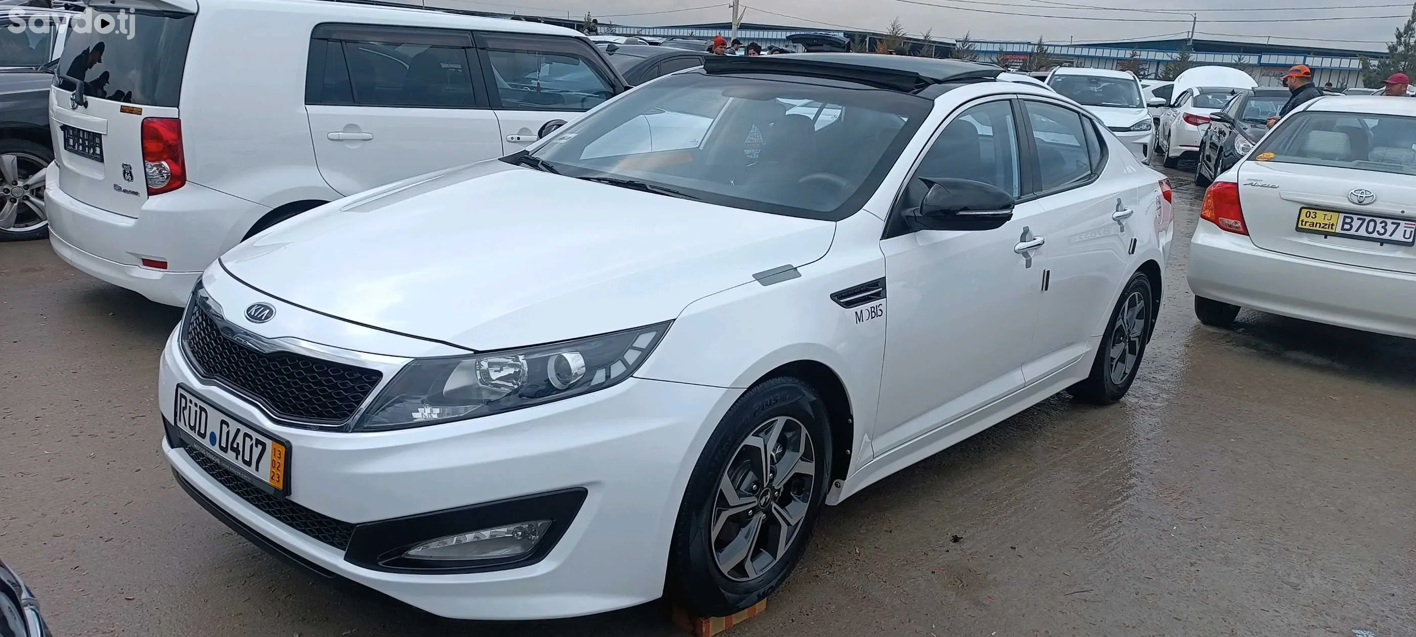 Kia K series 2010