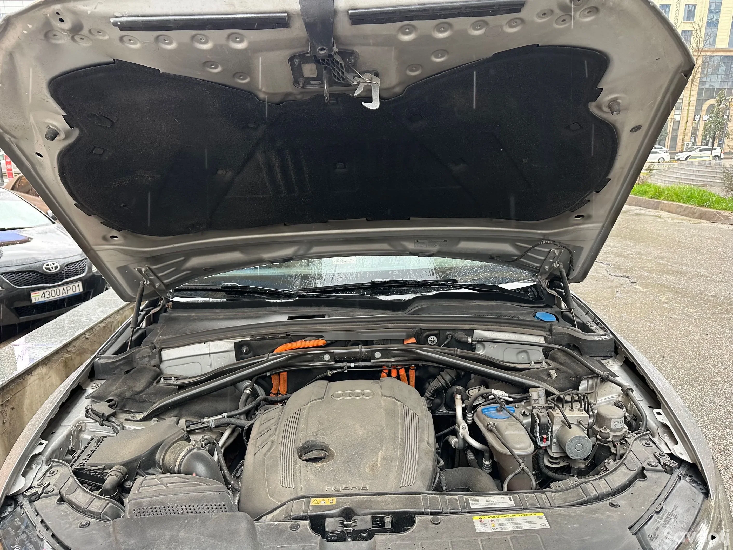 Audi Q5 2010
