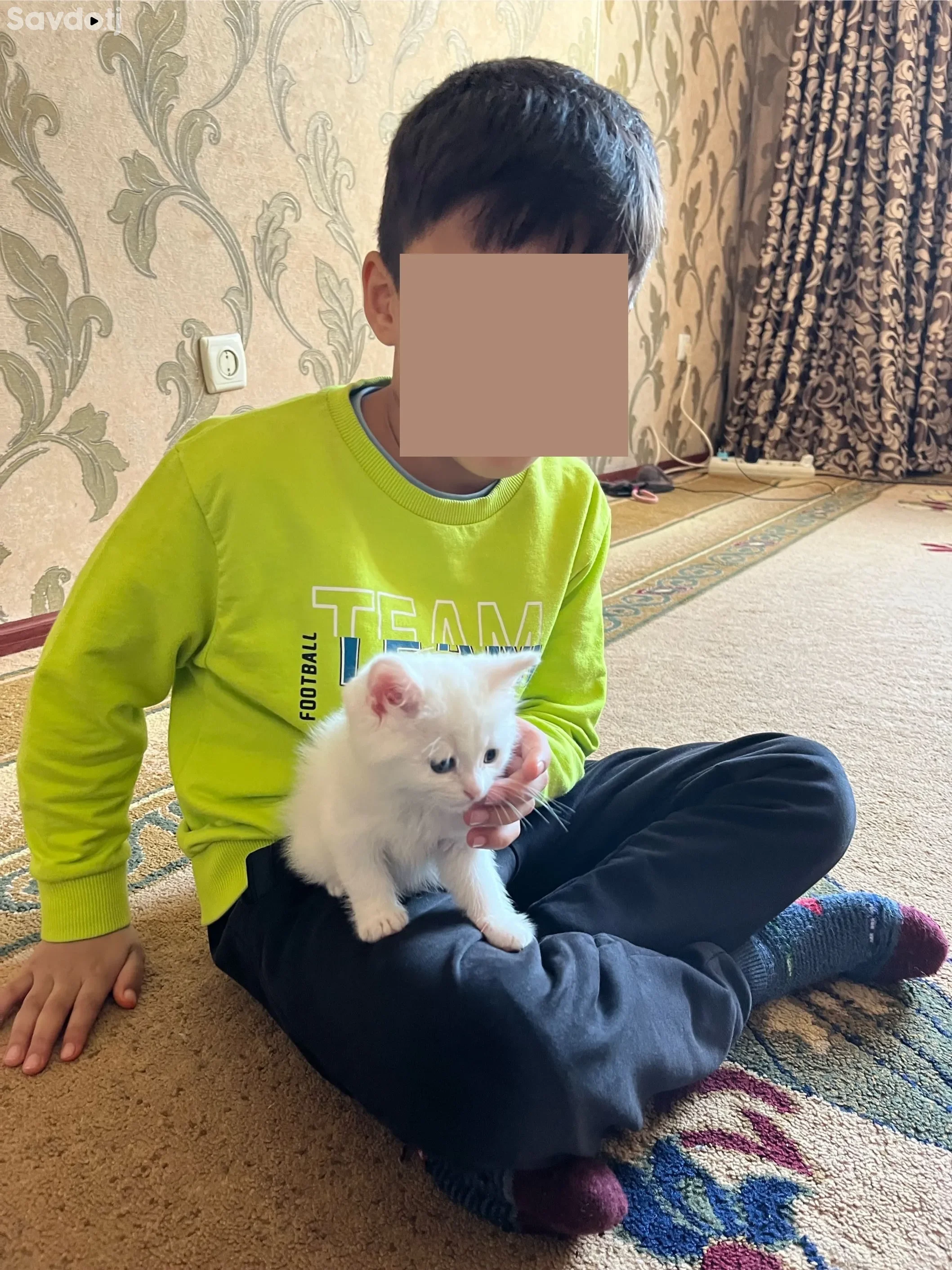 шотландский 