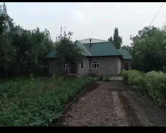 2 этажный, 20-комн. дом, 320 м², 95 соток, Стадиони нав
