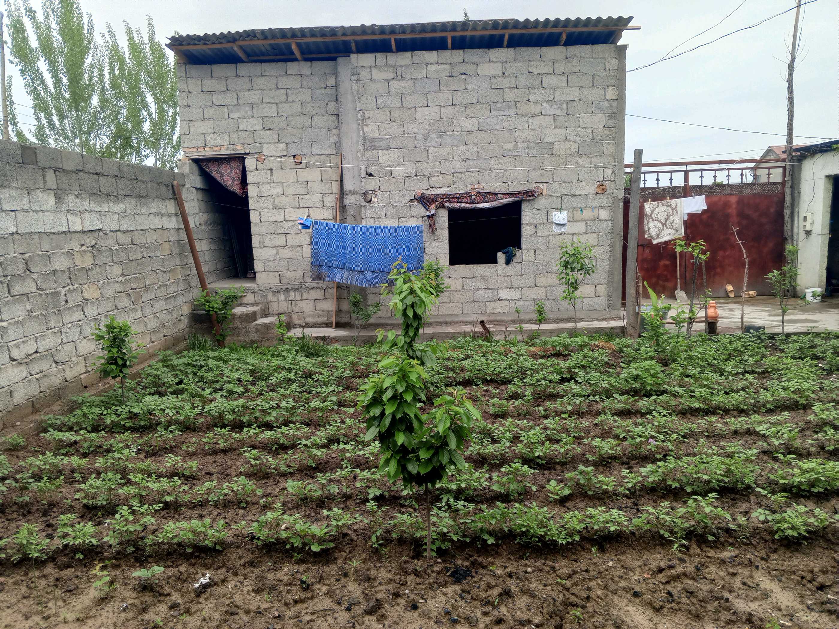 1 этажный, 5-комн. дом, 13 м², 4 соток, Вахдат