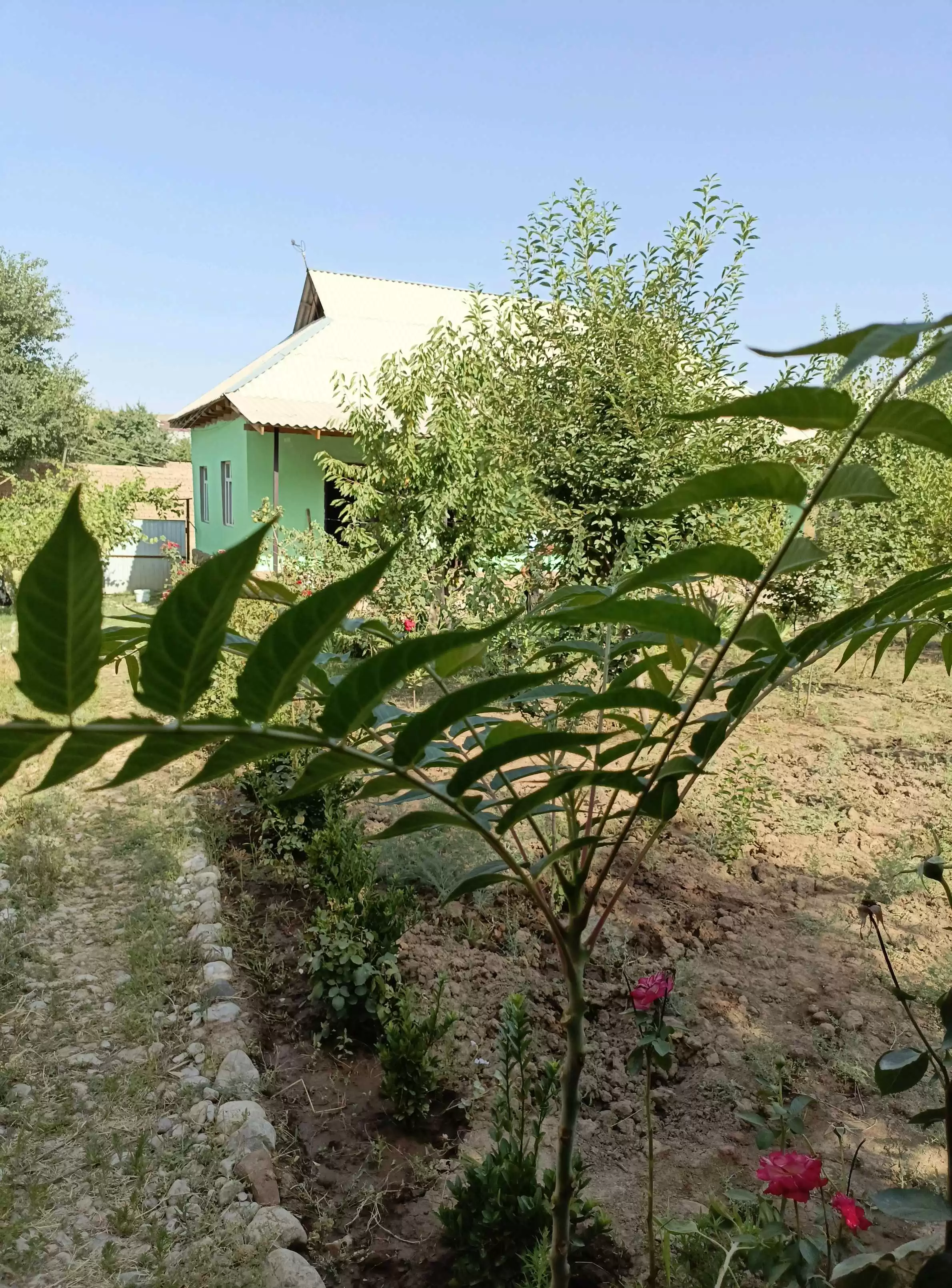 1 этажный, 4-комн. дом, 85 м², 7 соток, рохшонзамини нав