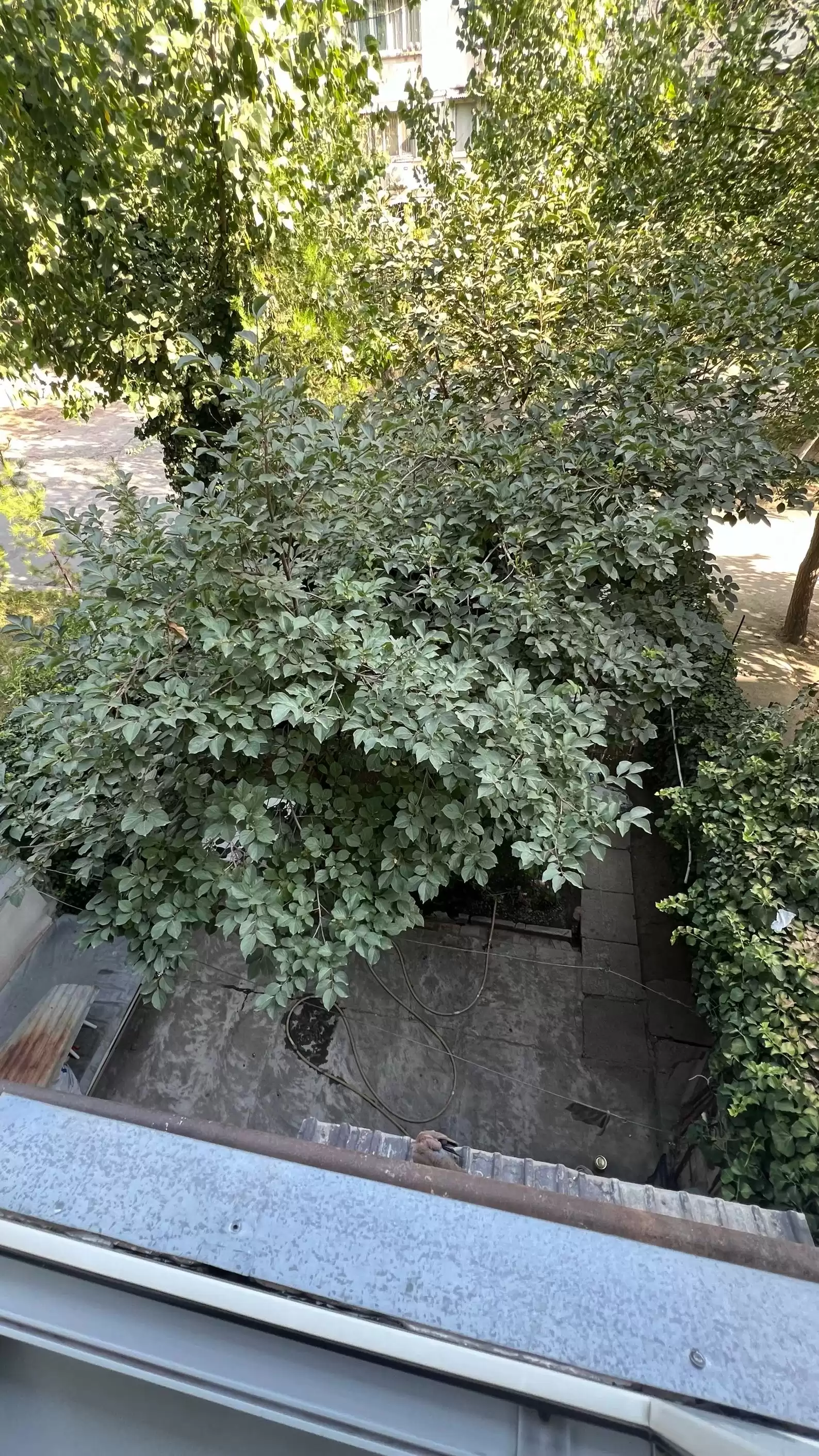 3-к квартира, 2 этаж, 68 м², Фирдавси