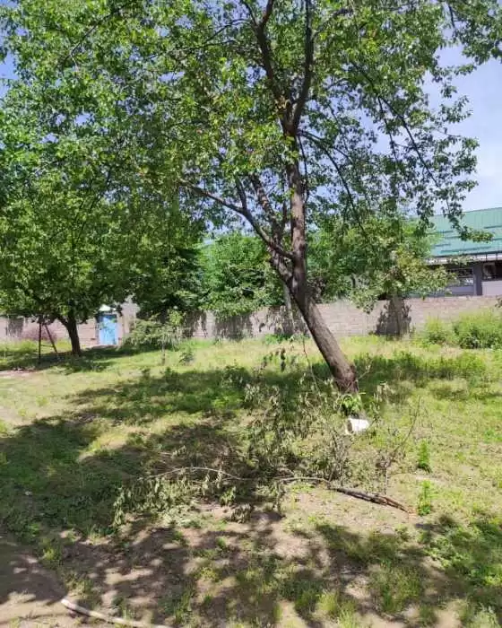 1 этажный, 4-комн. дом, 150 м², 30 соток, ул. Зайналобод, село Дарёбод