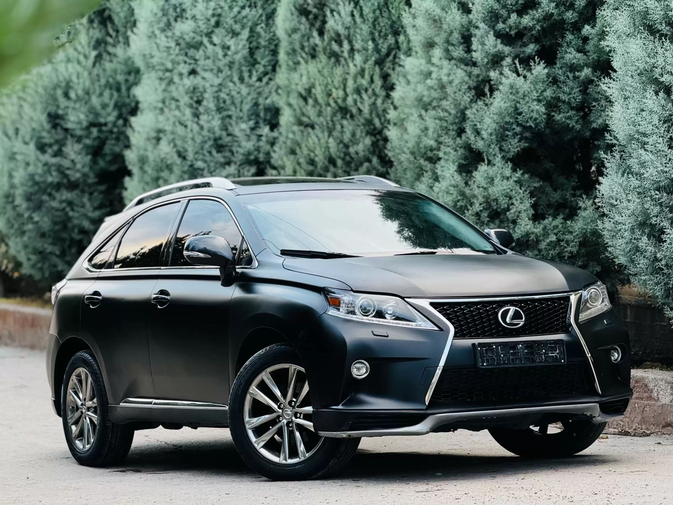 Lexus Rx series 2013