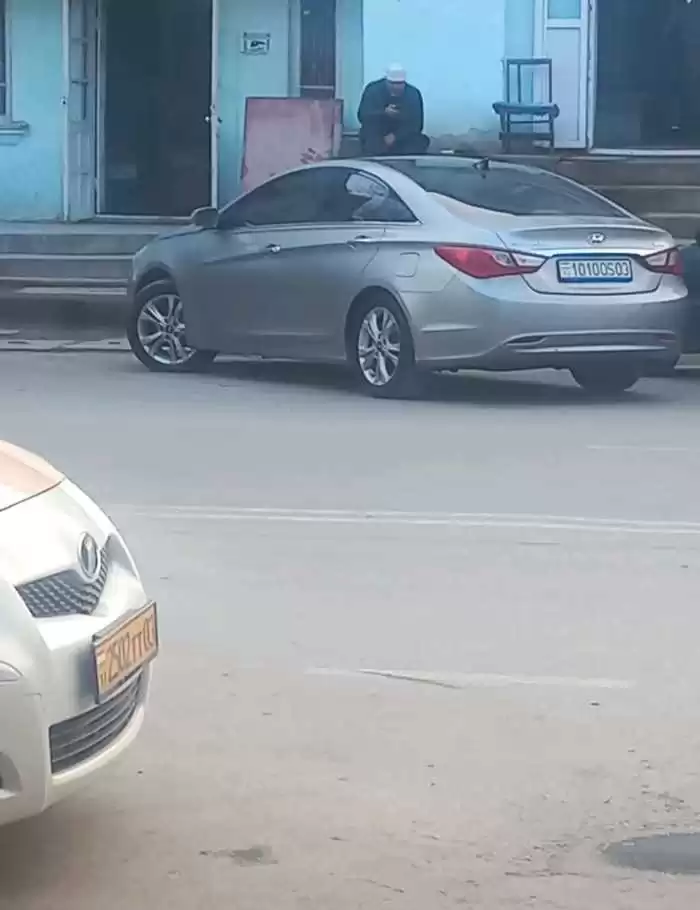 Hyundai Sonata 2010