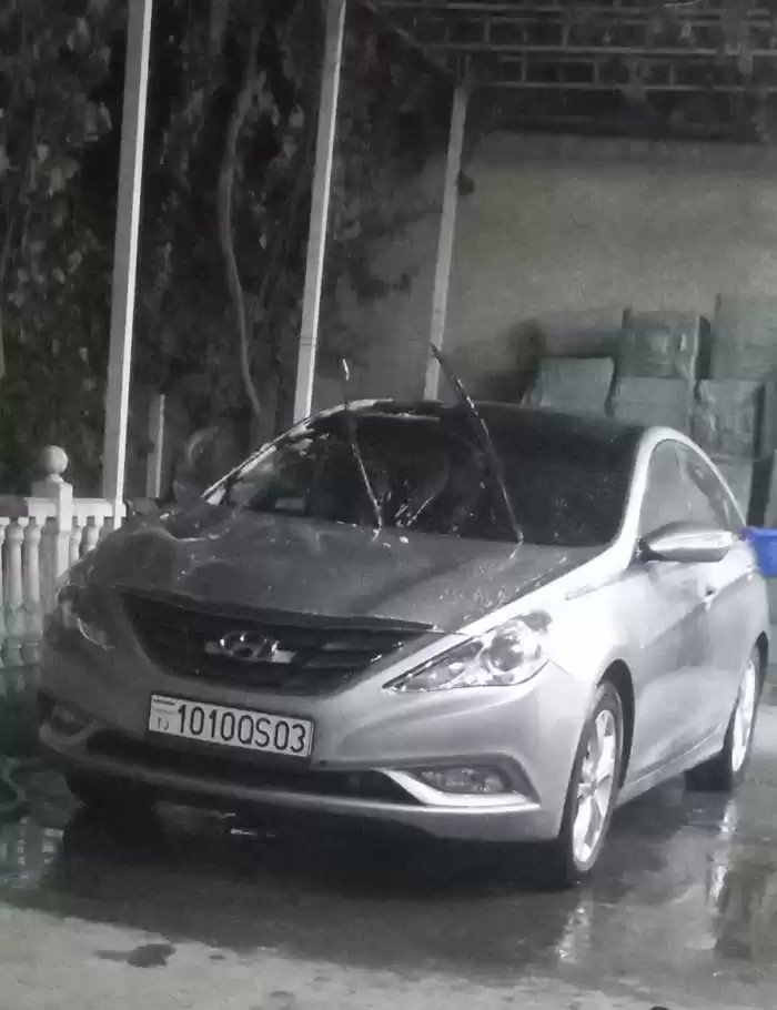 Hyundai Sonata 2010