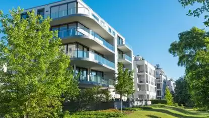 Тухми Газон Dalmau CT7