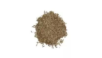 Тухми Газон Canada Green