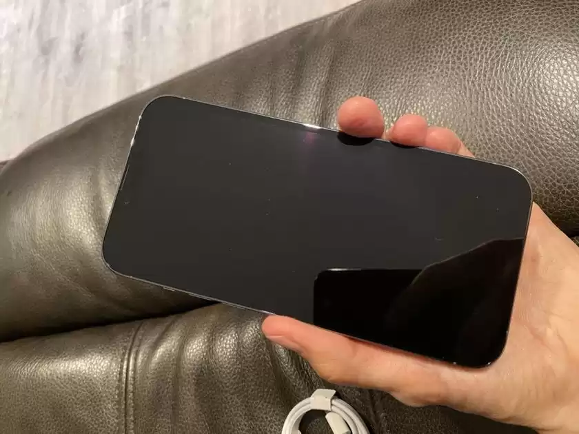 Apple iphone 13 pro max 256 gb