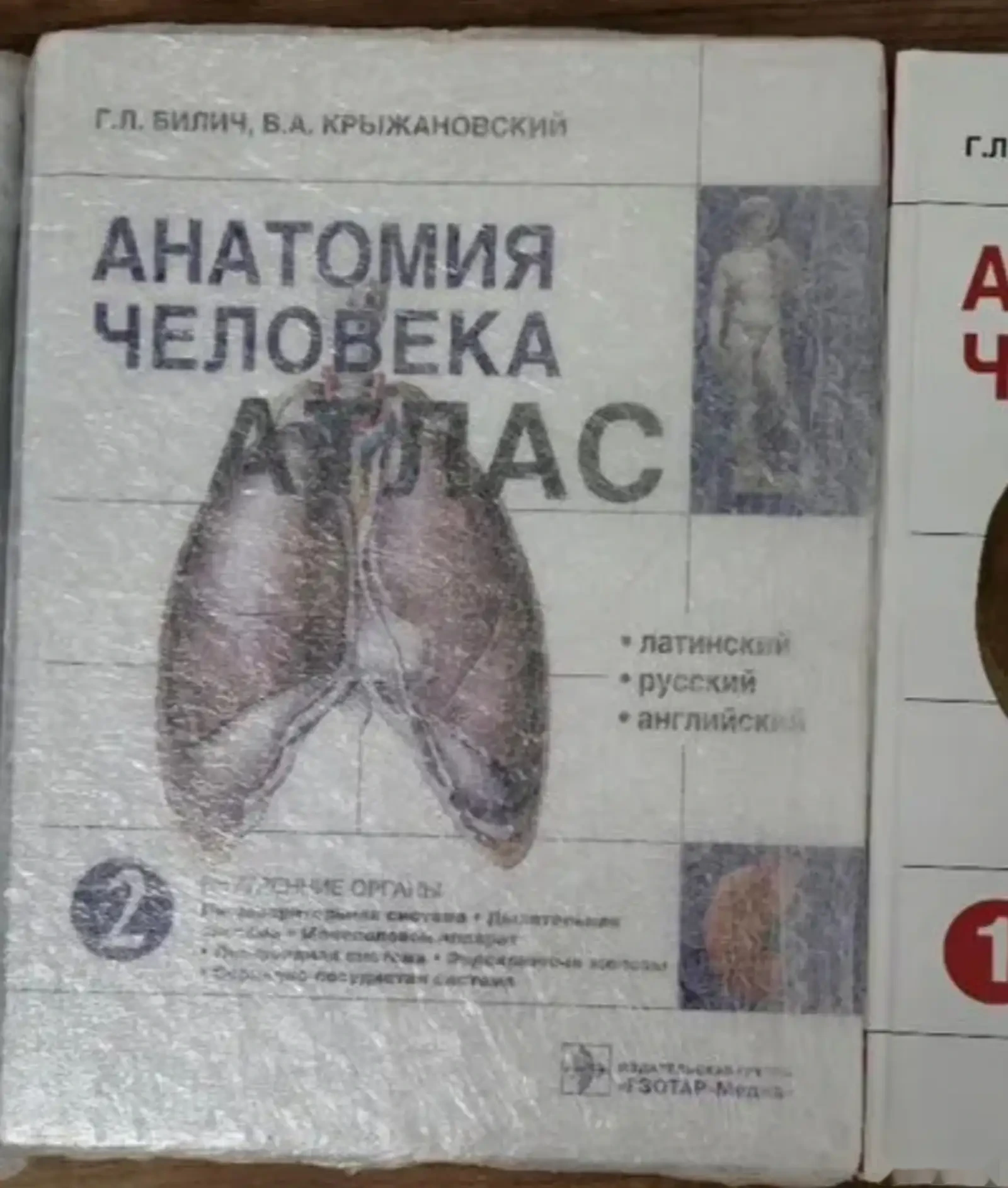 Анатомия Человека — фото 4