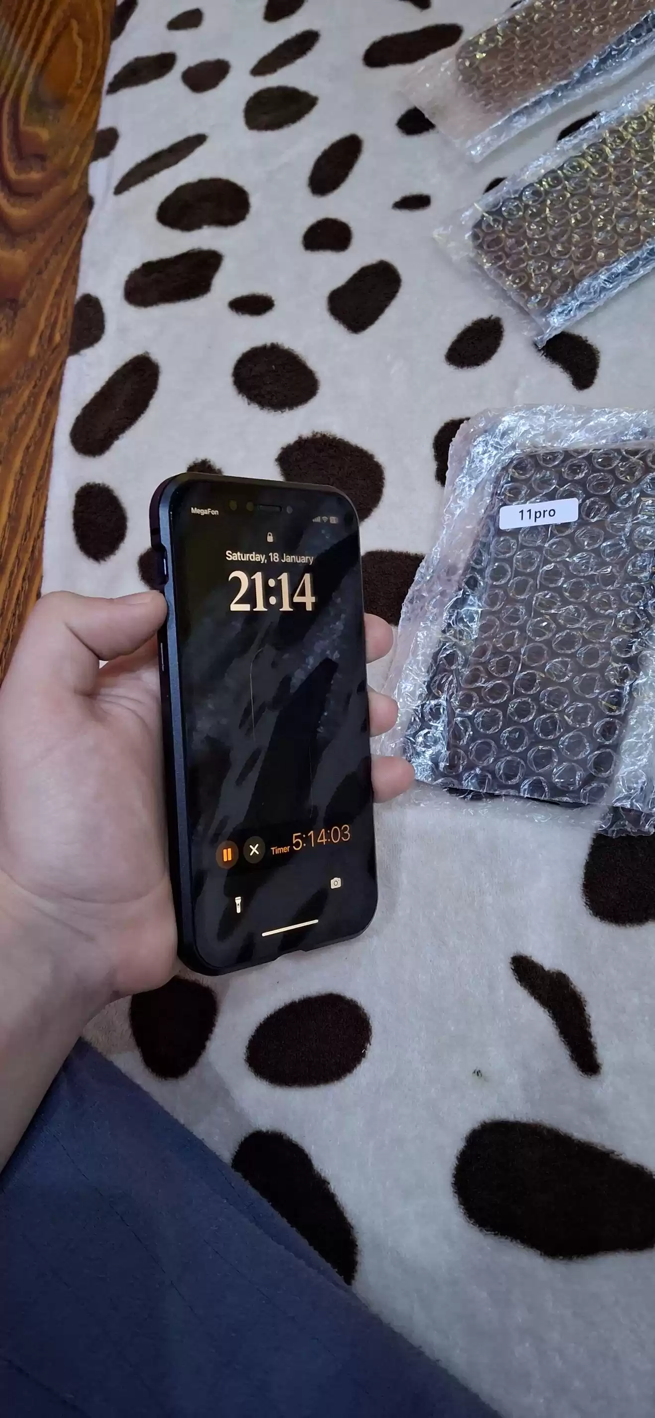 Apple case