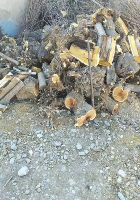 калоки тут