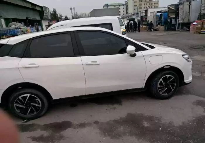 Neta V 2021