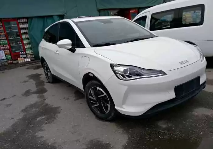 Neta V 2021