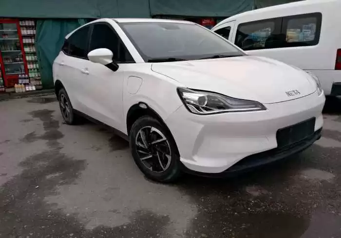 Neta V 2021