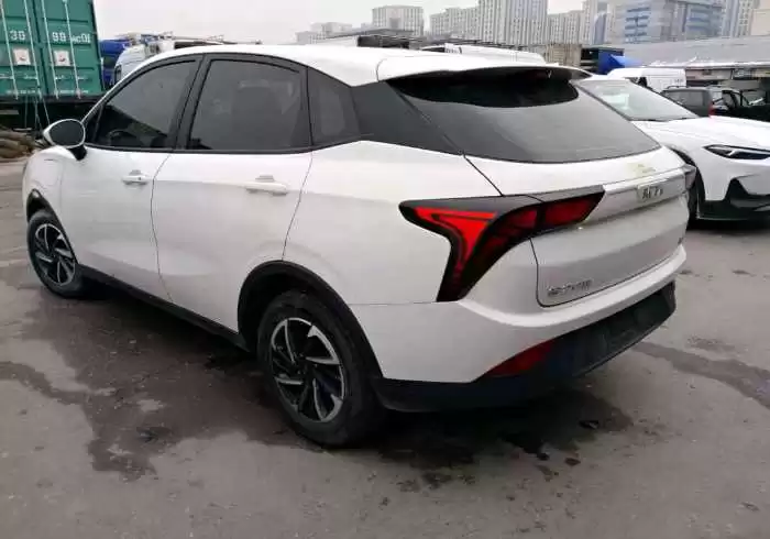 Neta V 2021