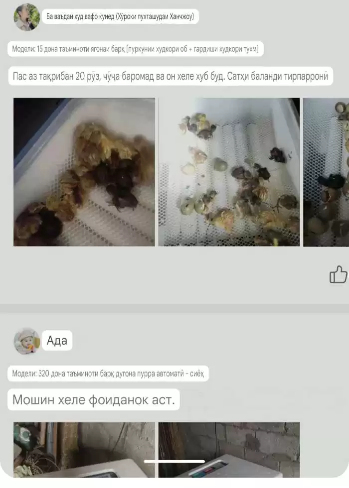 Инкубатор 