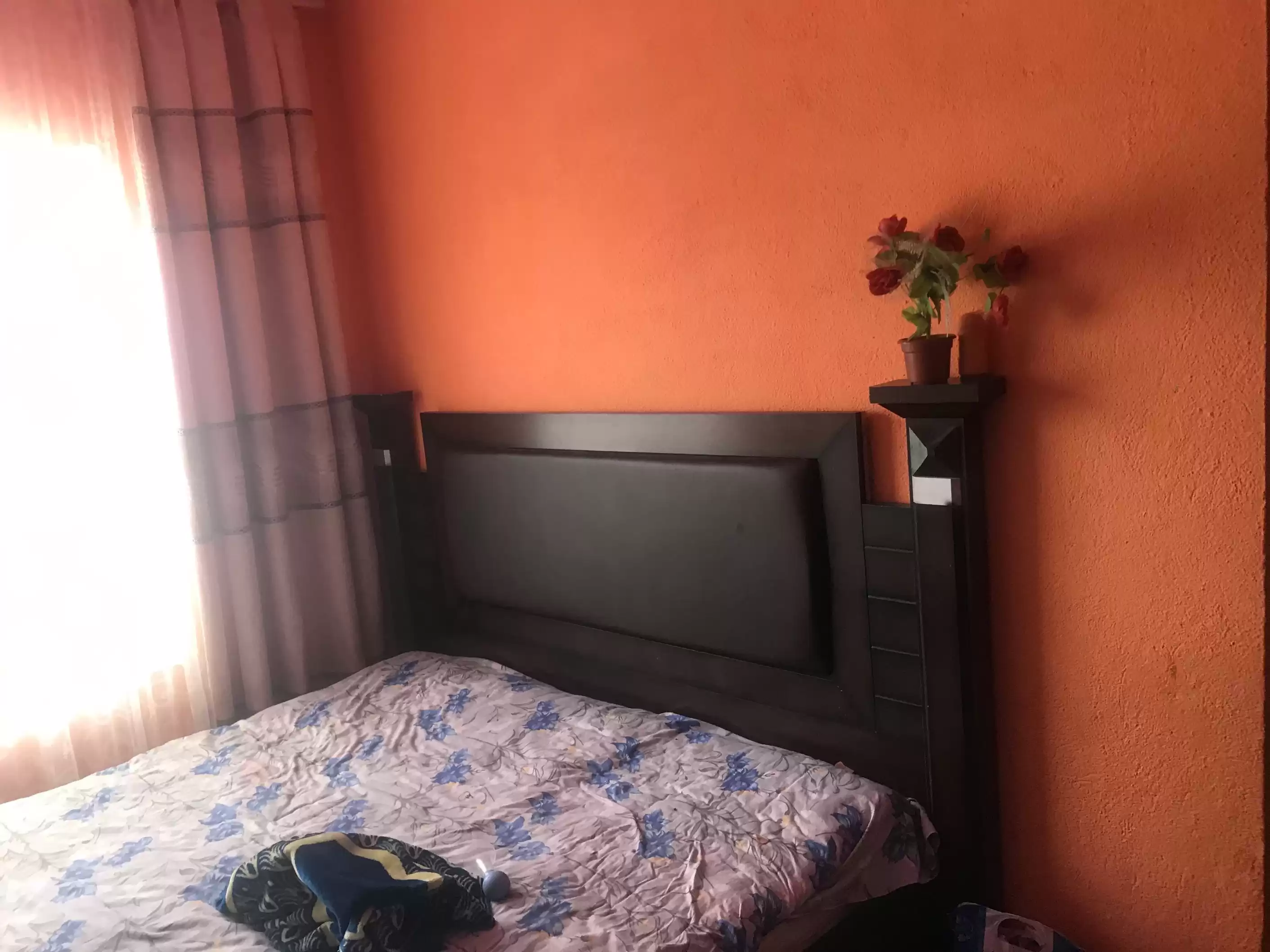 1 этажный, 3-комн. дом, 70 м², 2 соток, истиклол