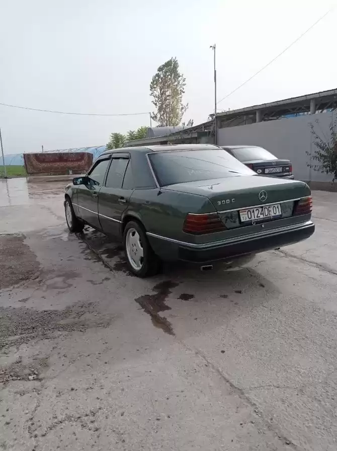 Mercedes-benz E class 1993