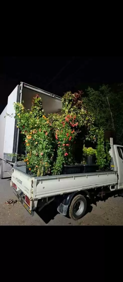 Садбарги Чайлоби