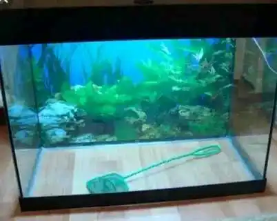 аквариум на 200 литров