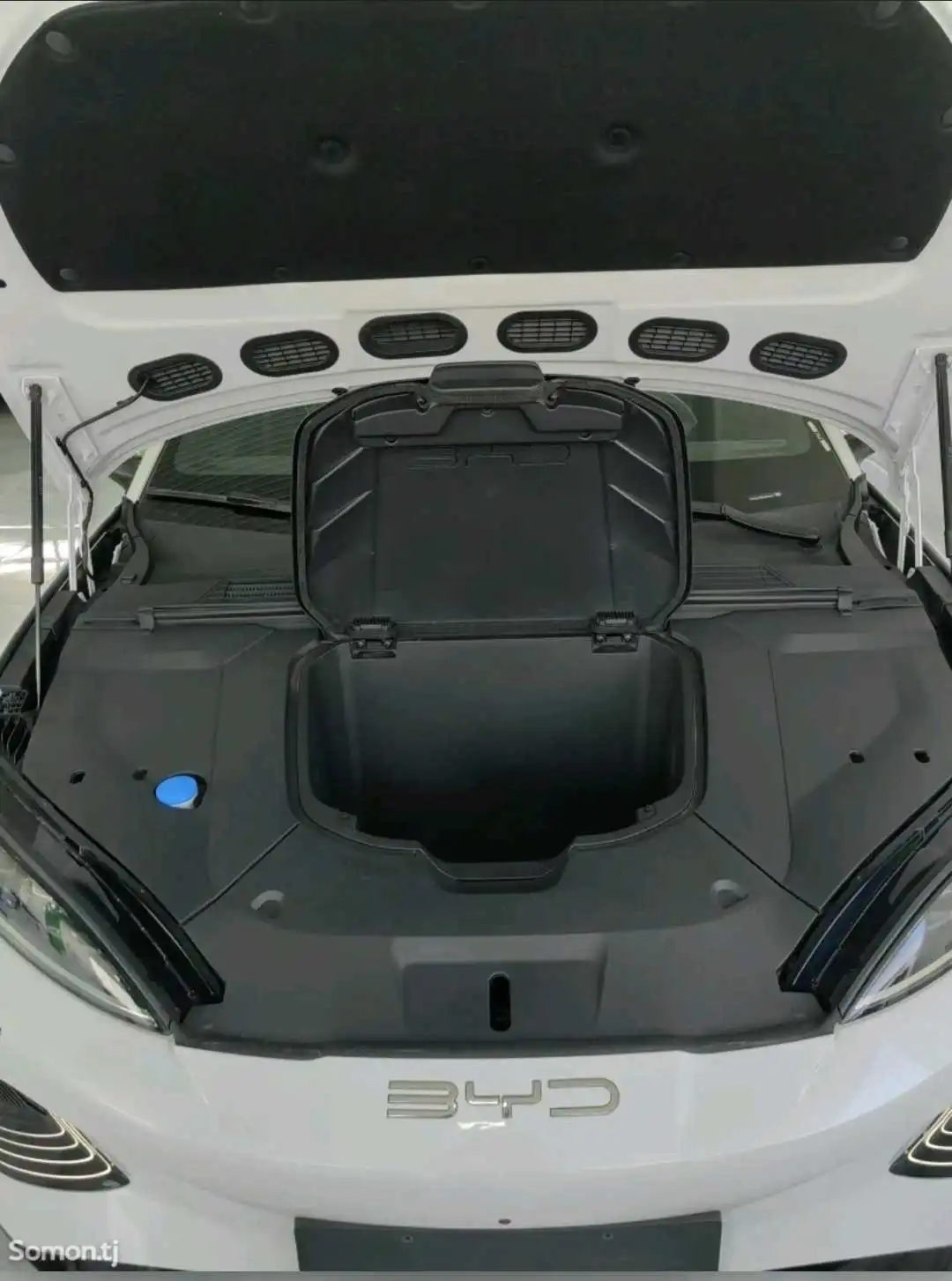 BYD SEA LION