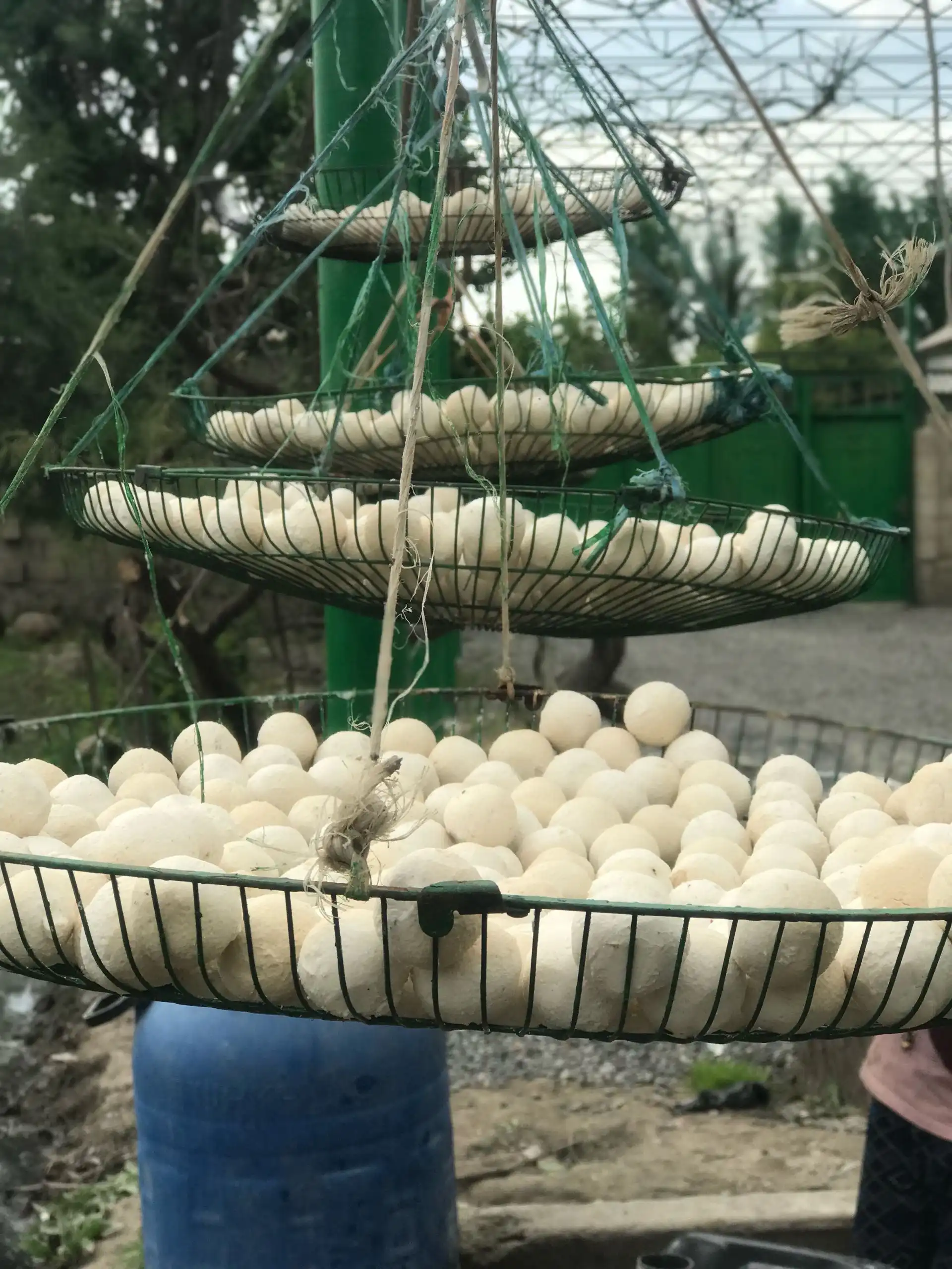 Курут