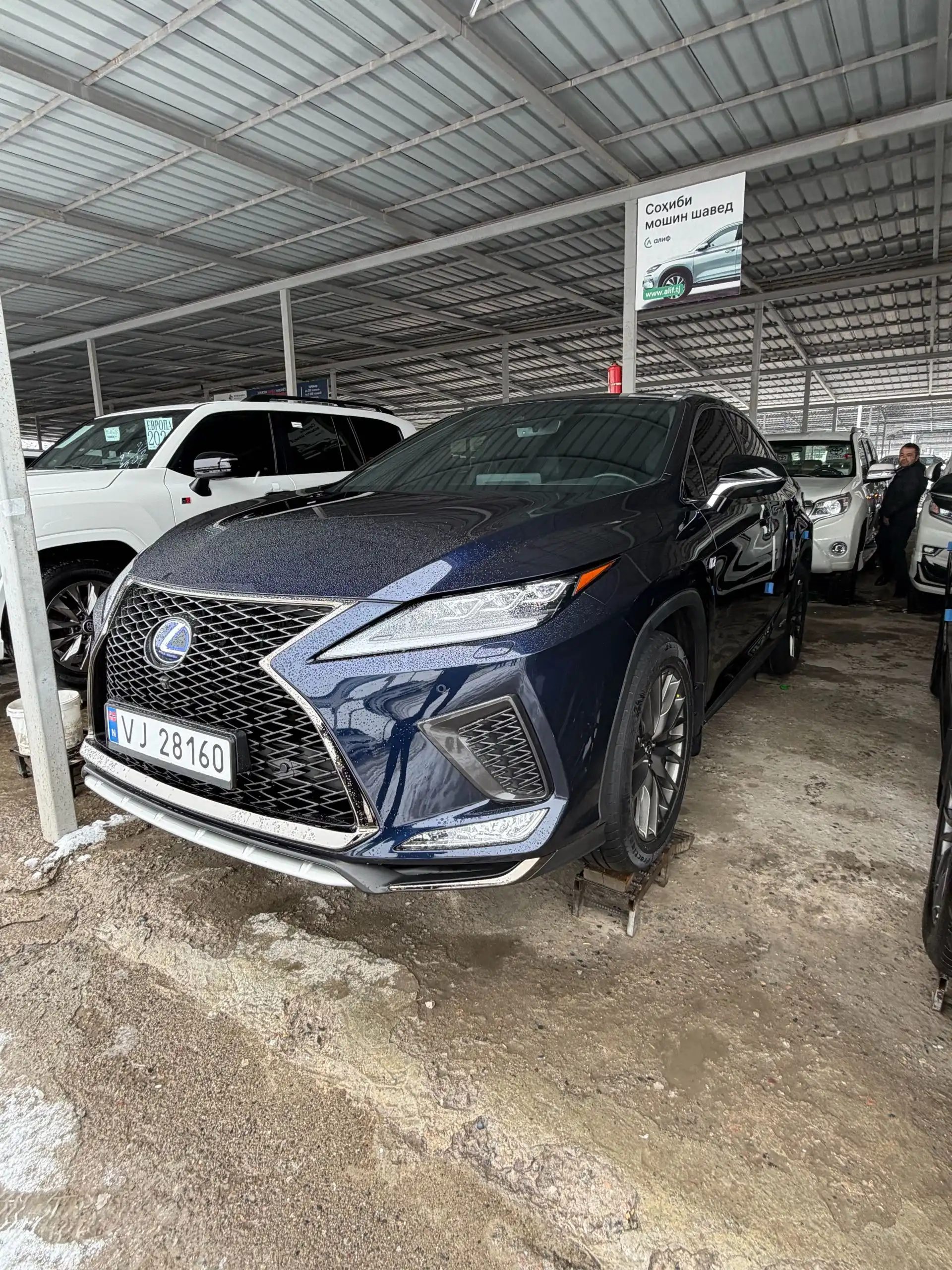 Lexus Rx series 2022