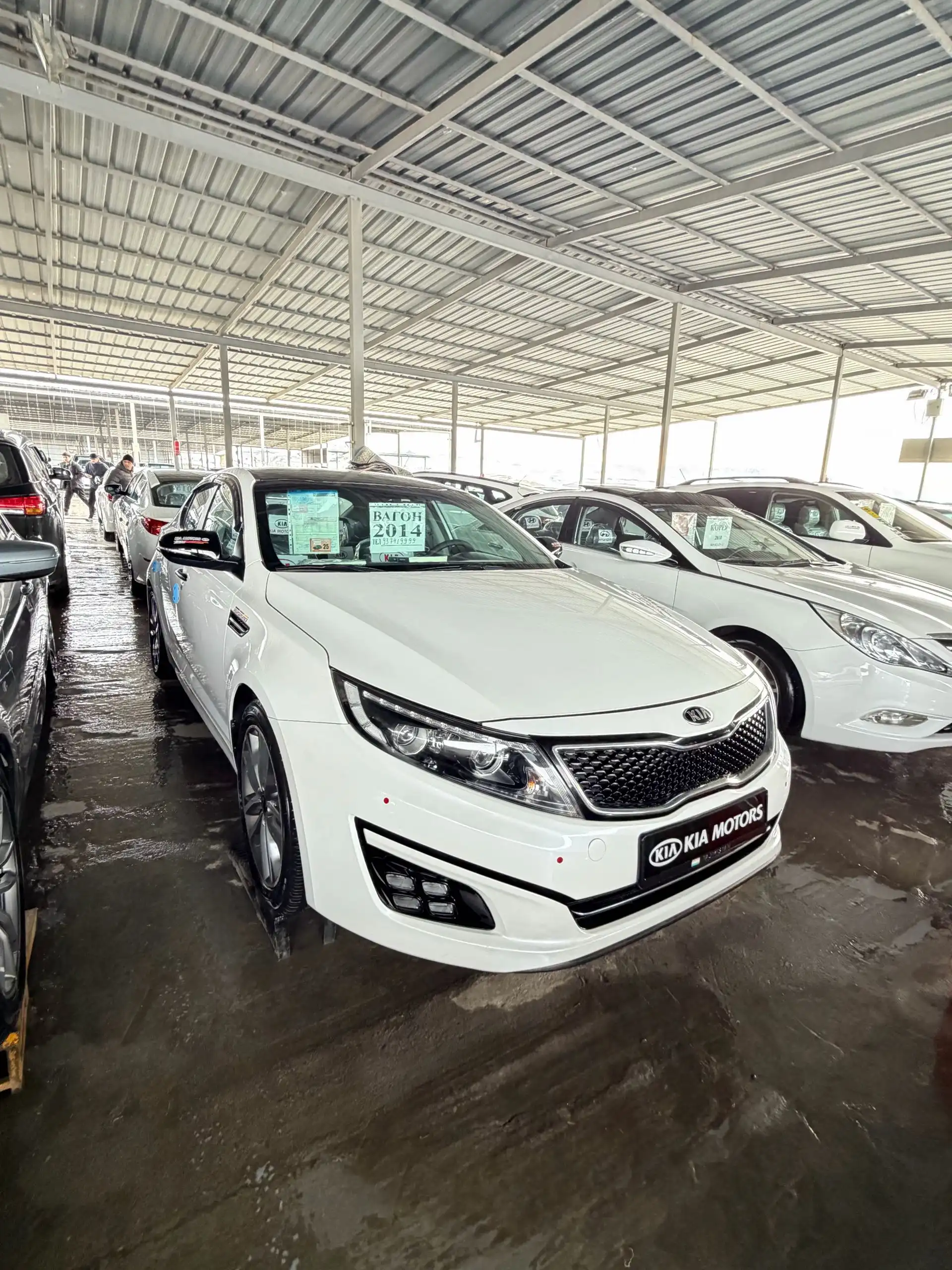 Kia K5 2011