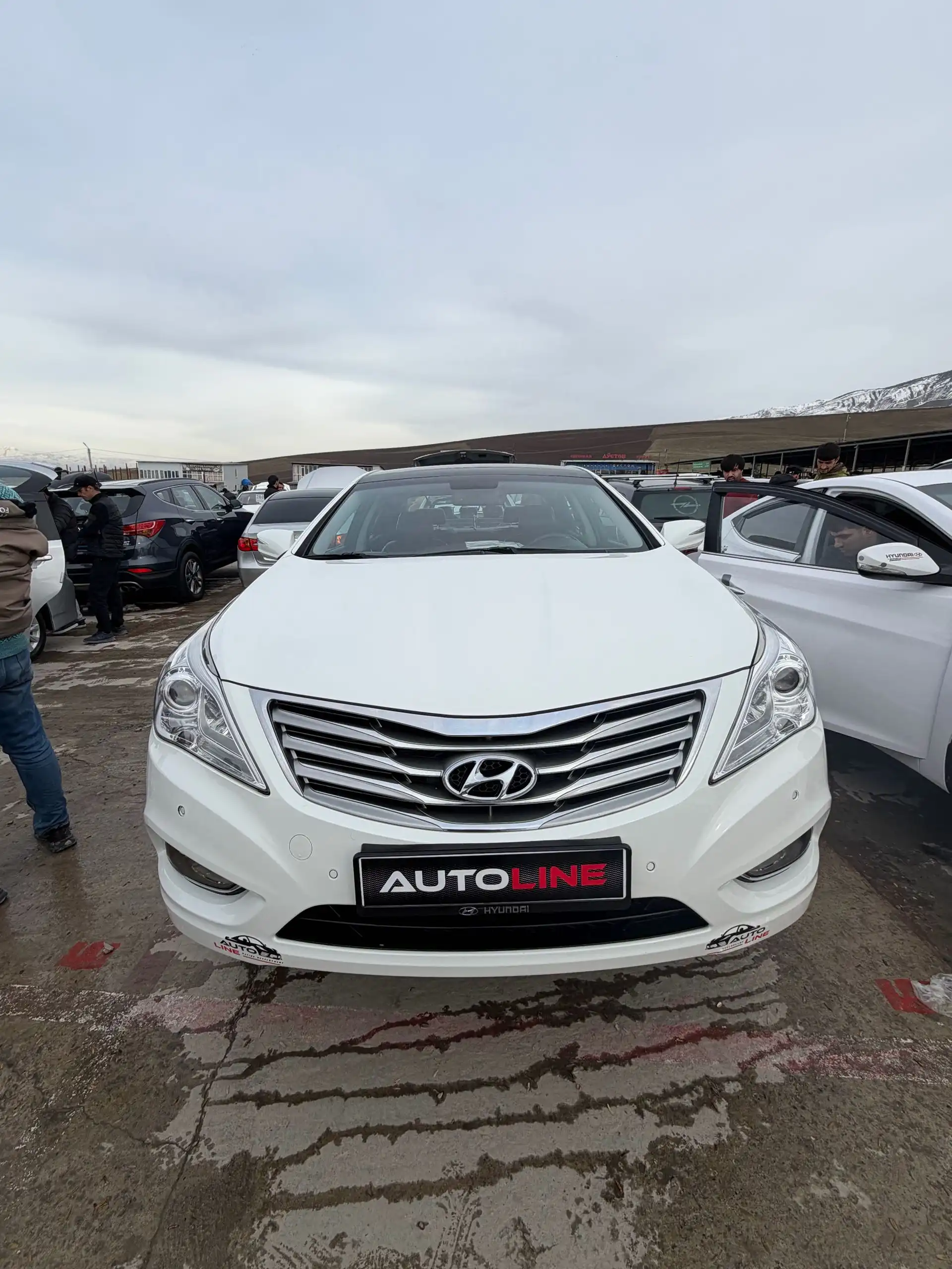 Hyundai Sonata 2013